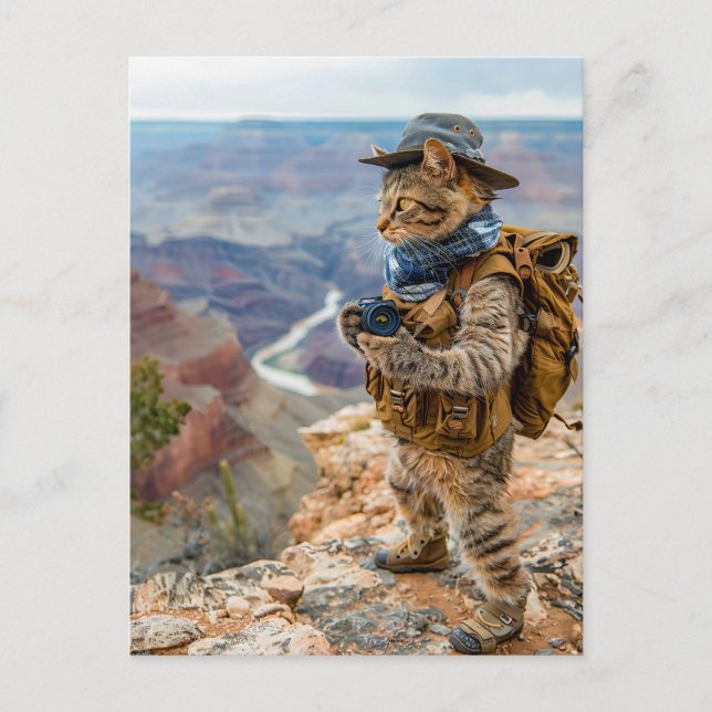 Cat Explorer at Grand Canyon Edge Holiday Postcard (Front)