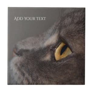 Cat Eye-Macro by Shirley Taylor Tile