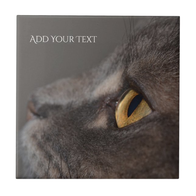 Cat Eye-Macro by Shirley Taylor Tile (Front)