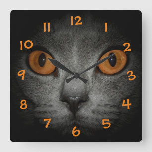 cat eye square wall clock