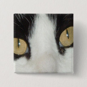 Cat Eyes 15 Cm Square Badge