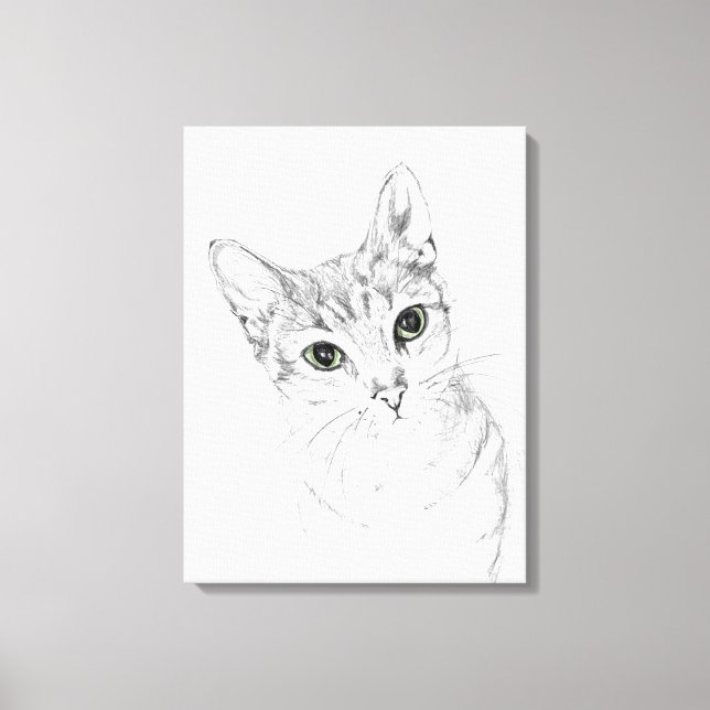 Cat Eyes A Pencil Drawing Canvas Print (Front)