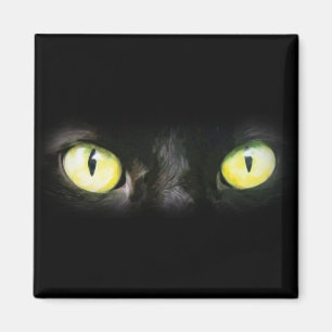 Cat Eyes, Black and Yellow Stare Magnet