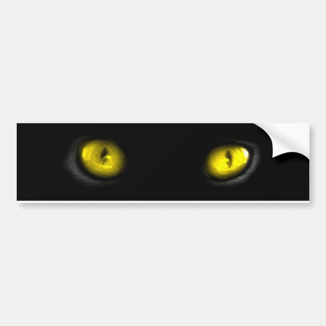 Cat Eyes Bumper Sticker (Front)