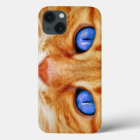 Cat Eyes Cat Eyes Face Tiger Mackerel Red Cat