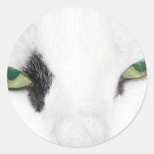 Cat Eyes Classic Round Sticker