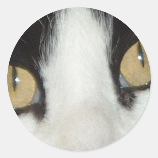 Cat Eyes Classic Round Sticker (Front)