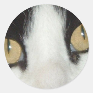 Cat Eyes Classic Round Sticker