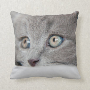 Cat Eyes Cushion