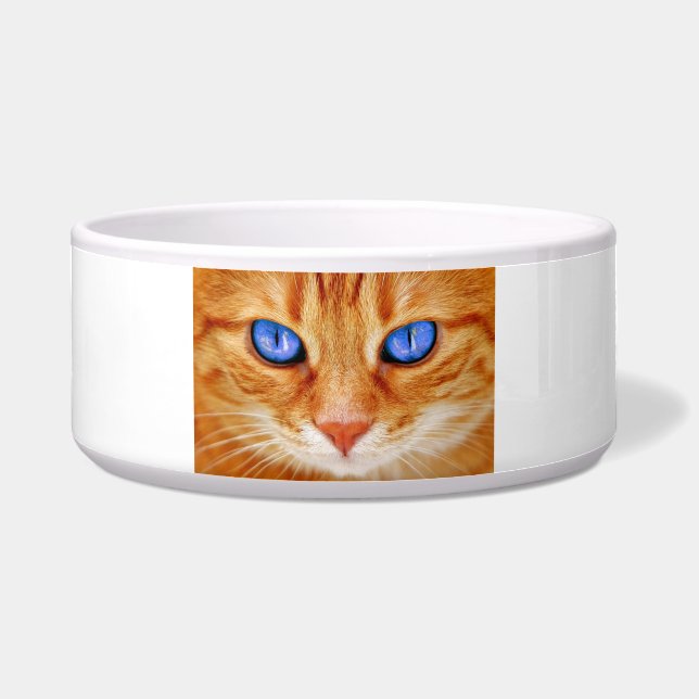 Cat Eyes Face Tiger mackerel red Cat (Front)
