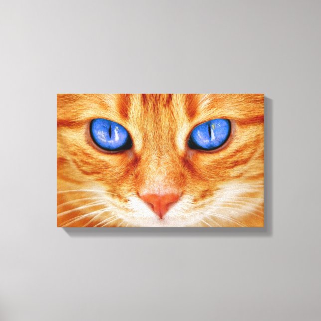 Cat Eyes Face Tiger mackerel red Cat Canvas Print (Front)