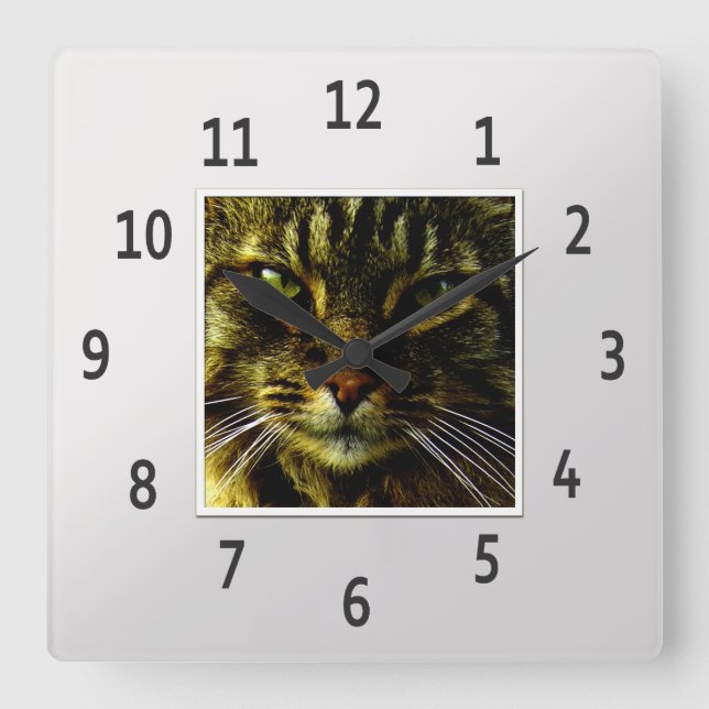 Cat Eyes Hypnotising Silver Framed Photo Square Wall Clock (Front)
