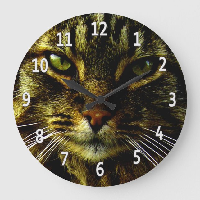 Cat Eyes Hypnotizing Framed Photo Large Clock (Front)