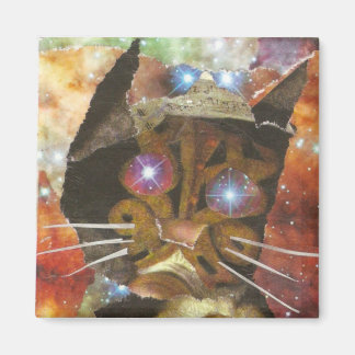 Cat Eyes Magnet