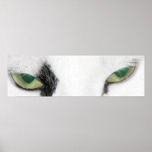 Cat Eyes Poster