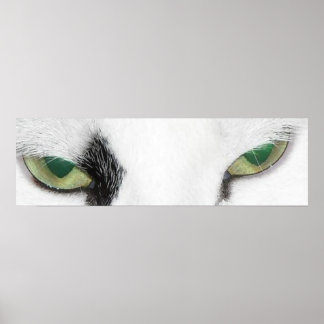 Cat Eyes Poster