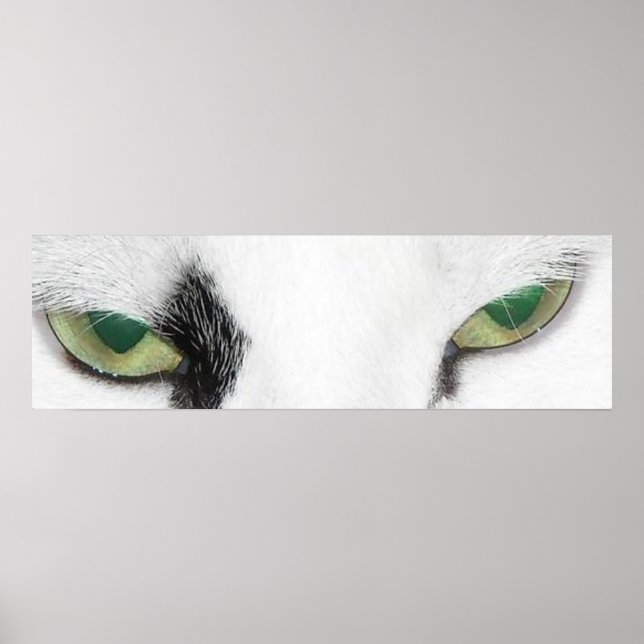 Cat Eyes Poster (Front)
