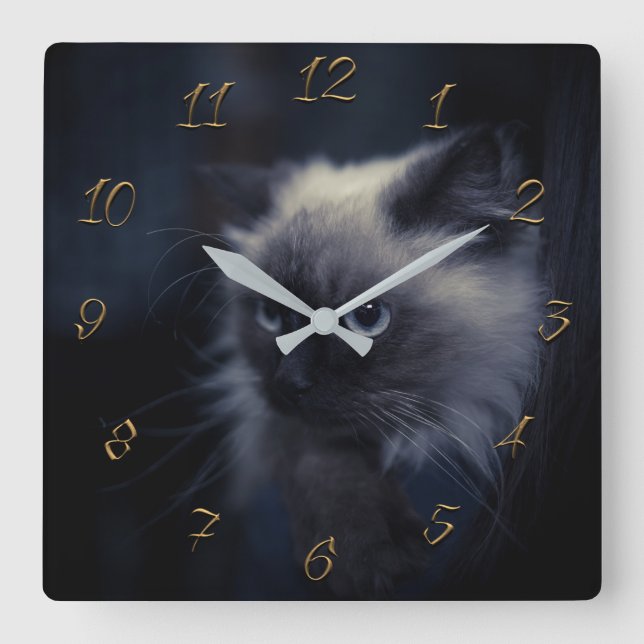 Cat eyes square wall clock (Front)