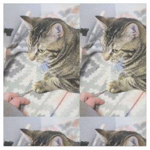 Cat Fabric