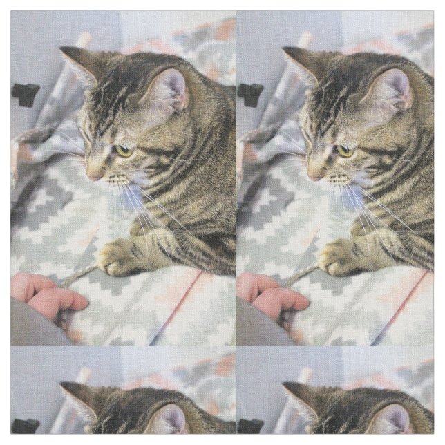Cat Fabric (Close Up)