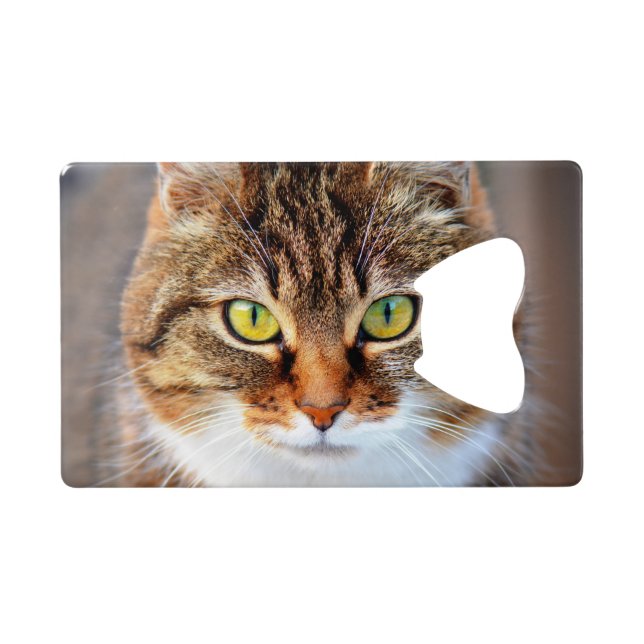 Cat face (Back Horizontal)