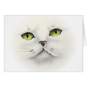 cat face