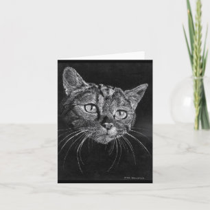 Cat Face blank card. Card