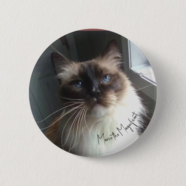 Cat face button features Marco the Magnificent.  (Front)