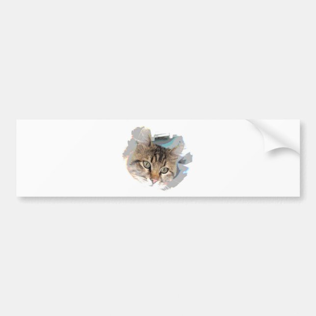 Cat Face - Cat Eyes Bumper Sticker (Front)