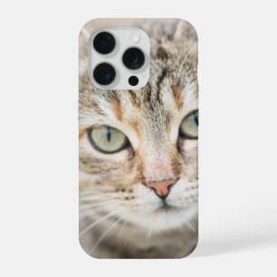 Cat face iPhone 15 pro case