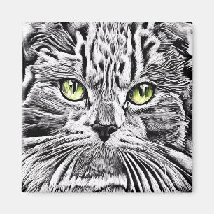 Cat face magnet