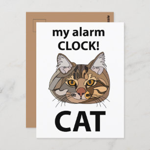 Cat Face My Alarm Clock Tabby Cat Postcard