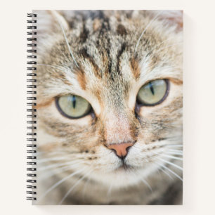 Cat face notebook