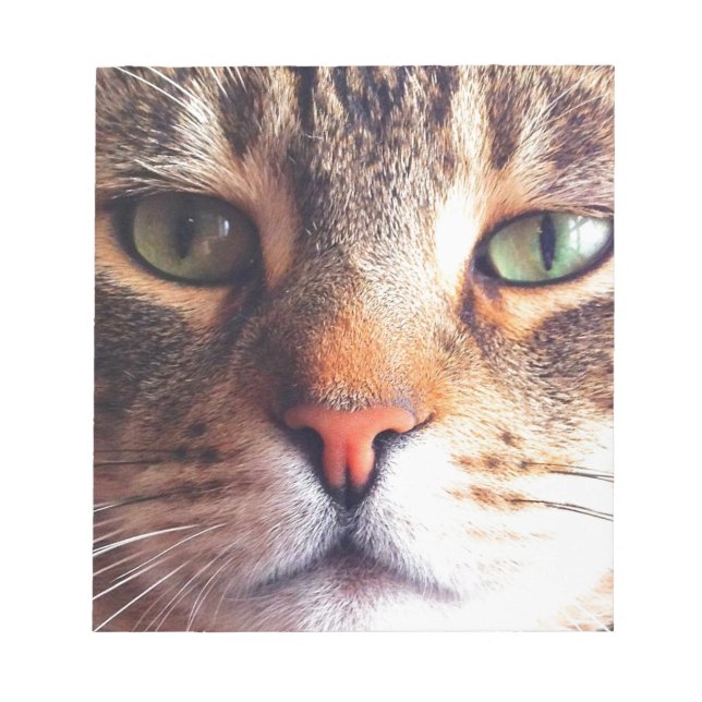 Cat Face Notepad (Front)