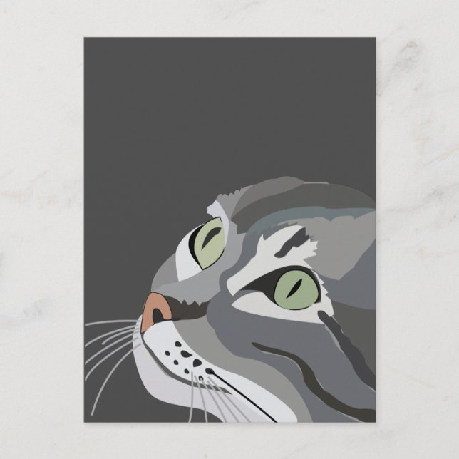 Cat Face Postcard (Front)