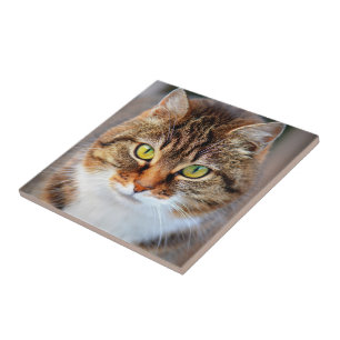 Cat face tile