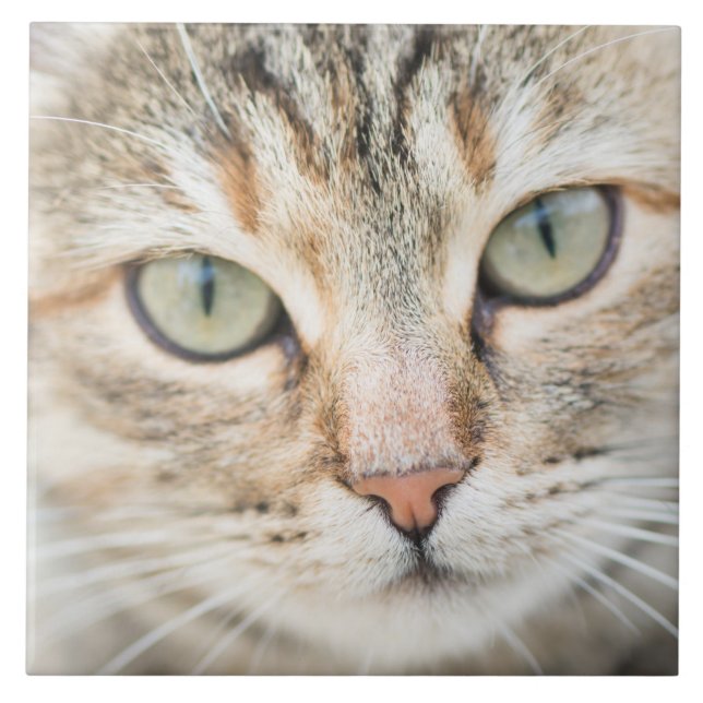 Cat face tile (Front)