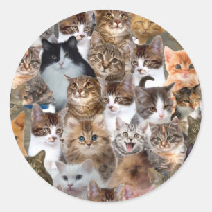 Cat Faces Pattern Classic Round Sticker