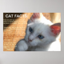 Cat facts!