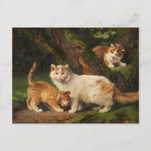 Cat Family Playing Julius Adam the Younger Postcard