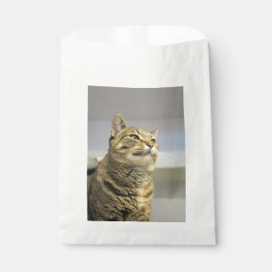 Cat favour bags
