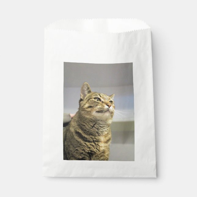 Cat   favour bags (Front)