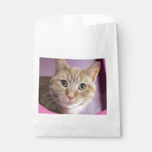 Cat Favour Bags