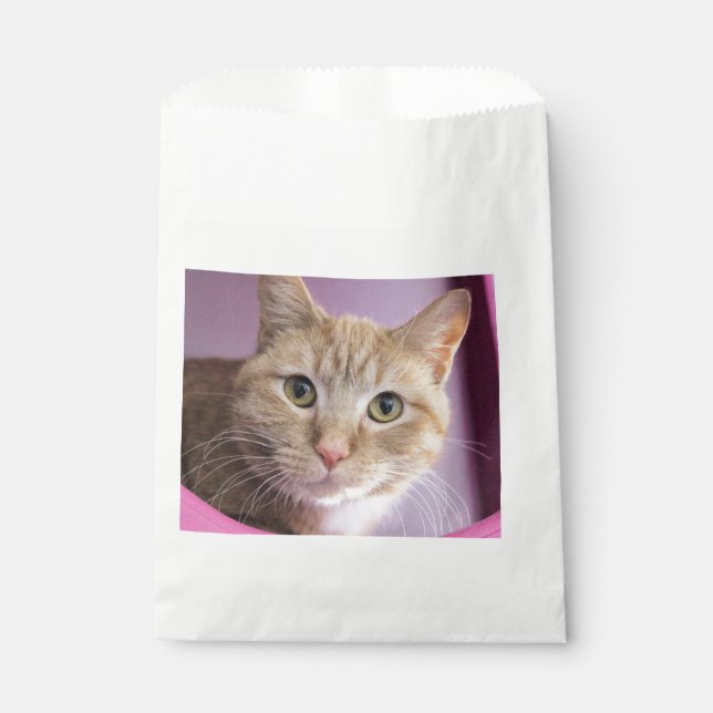 Cat Favour Bags (Front)