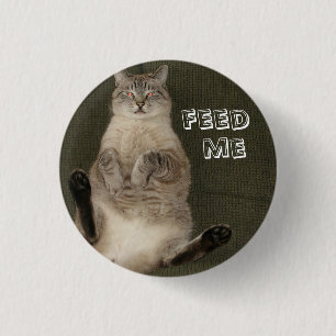 Cat "FEED ME" Round Button