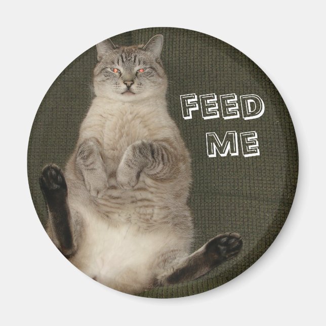 Cat "FEED ME" Round Magnet (Front)