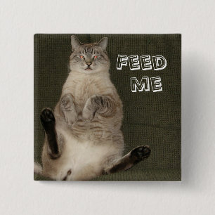 Cat "FEED ME" Square Button