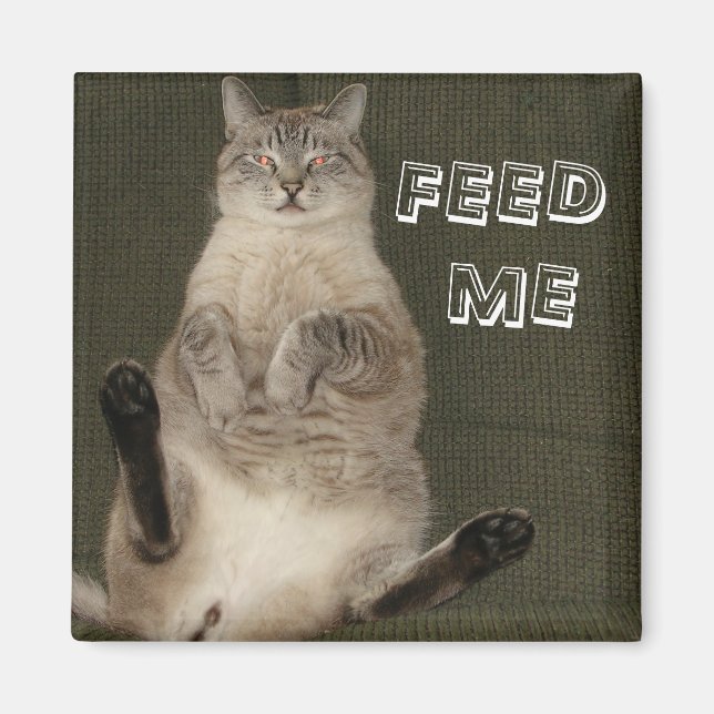 Cat "FEED ME" Square Magnet (Front)