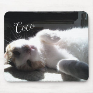 Cat Feline Mouse Pad! Pad