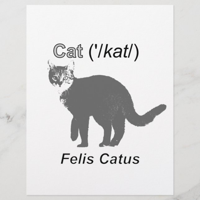 Cat Felis Catus (Front)